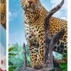 Trefl Wild Luipaard Puzzel - 500 Stukjes -Puzzels Verkoopwinkel 523x840 1