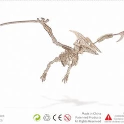 De Bouwplaats Bouwpakket 3D Puzzel Pterosaurus Dino Dinosaurus - Hout -Puzzels Verkoopwinkel 550x330