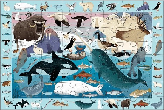 Zoek & Vind Puzzel Artic Life – 64st | Mudpuppy 4 Zoek & Vind Puzzel Artic Life – 64st | Mudpuppy - Afbeelding 2