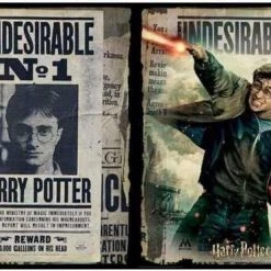 BigBuy Kids Puzzel Harry Potter Wanted (500 Pcs)