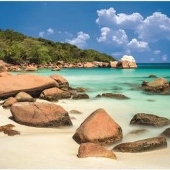 Dino Toys Legpuzzel Dino - Idyllisch Strand - 2000 Stukjes - Volwassenen -Puzzels Verkoopwinkel 550x390 8