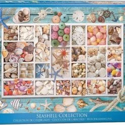 Eurographics Puzzel Seashell Collection - 1000 Stukjes