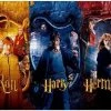 SD Toys Harry Potter Puzzel Harry, Ron & Hermione Multicolours