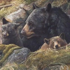 Berenfamilie 1000 Cobble Hill