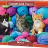Castorland Kittens In Yarn Store - 1000pcs