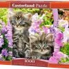 Castorland Kittens In Summer Garden 1000 Stukjes 2 Castorland Kittens In Summer Garden 1000 Stukjes -Puzzels Verkoopwinkel 550x398 8