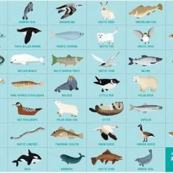 Zoek & Vind Puzzel Artic Life – 64st | Mudpuppy 8 Zoek & Vind Puzzel Artic Life – 64st | Mudpuppy -Puzzels Verkoopwinkel 550x401 7