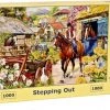House Of Puzzles Stepping Out Puzzel 1000 Stukjes -Puzzels Verkoopwinkel 550x405 6