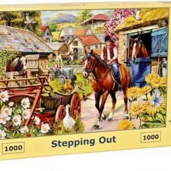 House Of Puzzles Stepping Out Puzzel 1000 Stukjes
