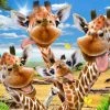 Prime3D Prime 3d Puzzel Selfie Giraffe Karton 63-delig -Puzzels Verkoopwinkel 550x412 2
