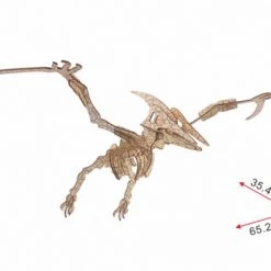 De Bouwplaats Bouwpakket 3D Puzzel Pterosaurus Dino Dinosaurus - Hout -Puzzels Verkoopwinkel 550x424