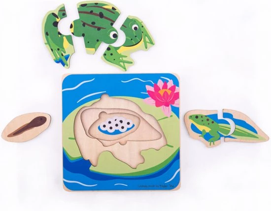 BIGJIGS Puzzel - Van Kikkerdril Tot Kikker - Levenscyclus - 3 Lagen 4 BIGJIGS Puzzel - Van Kikkerdril Tot Kikker - Levenscyclus - 3 Lagen - Afbeelding 2