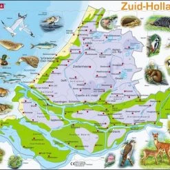 Larsen Legpuzzel Maxi Zuid-holland Junior - Karton - 62 Stukjes