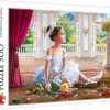 Merkloos Puzzel Kleine Ballerina 500 Stukjes -Puzzels Verkoopwinkel 550x435 2