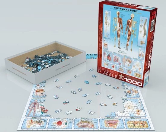 Eurographics Puzzel The Human Body - 1000 Stukjes 4 Eurographics Puzzel The Human Body - 1000 Stukjes - Afbeelding 2