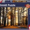 Schmidt Magisch Woud, 1000 Stukjes - Puzzel - 12+ -Puzzels Verkoopwinkel 550x444