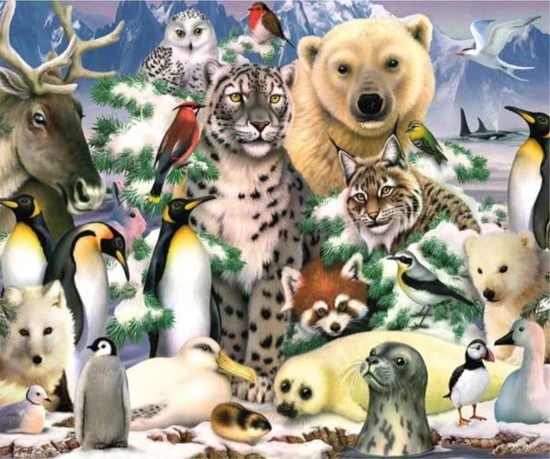 Trixie King Puzzel 1000 Stukjes (68 X 49 Cm) - Artic Life - Legpuzzel - Dieren 4 Trixie King Puzzel 1000 Stukjes (68 X 49 Cm) - Artic Life - Legpuzzel - Dieren - Afbeelding 2