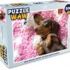 PuzzleWow Puzzel Een Teckel Puppy Op Een Roze Deken - Legpuzzel - Puzzel 500 Stukjes - Sinterklaas Cadeautjes - Sinterklaas Voor Grote Kinderen -Puzzels Verkoopwinkel 550x498 13