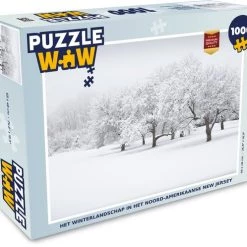 PuzzleWow Puzzel Het Winterlandschap In Het Noord-Amerikaanse New Jersey - Legpuzzel - Puzzel 1000 Stukjes Volwassenen - Sinterklaas Cadeautjes - Sinterklaas Voor Grote Kinderen