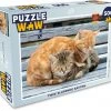 PuzzleWow Puzzel Katten - Bank - Hout - Legpuzzel - Puzzel 500 Stukjes - Sinterklaas Cadeautjes - Sinterklaas Voor Grote Kinderen -Puzzels Verkoopwinkel 550x498 4