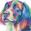 FEMUR Hond - A3-formaat - Dierenpuzzel - Houten Puzzel - Dieren Legpuzzel - Legpuzzel - Jiggsaw - 150 Stukjes -Puzzels Verkoopwinkel 550x519 1