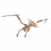 De Bouwplaats Bouwpakket 3D Puzzel Pterosaurus Dino Dinosaurus - Hout -Puzzels Verkoopwinkel 550x546 1