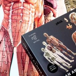 Pikkii Menselijke Anatomie Puzzel (303 Stukjes) -Puzzels Verkoopwinkel 550x550 130