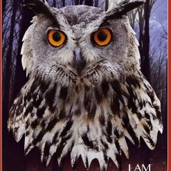 Madd Capp Puzzel Uil Grijs 550 Stukjes -Puzzels Verkoopwinkel 550x688