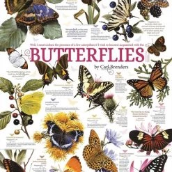 Cobble Hill Puzzel Butterfly Collection - 1000 Stukjes -Puzzels Verkoopwinkel 550x755 3