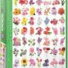 Eurographics Puzzel 1000 Stukjes - The Language Of Flowers -Puzzels Verkoopwinkel 550x758 2