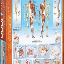 Eurographics Puzzel The Human Body - 1000 Stukjes