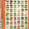 Eurographics Puzzel Herbs And Spices - 1000 Stukjes -Puzzels Verkoopwinkel 550x762 2