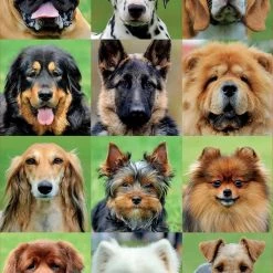 Educa Collage Van Honden Puzzel 500 Stukjes